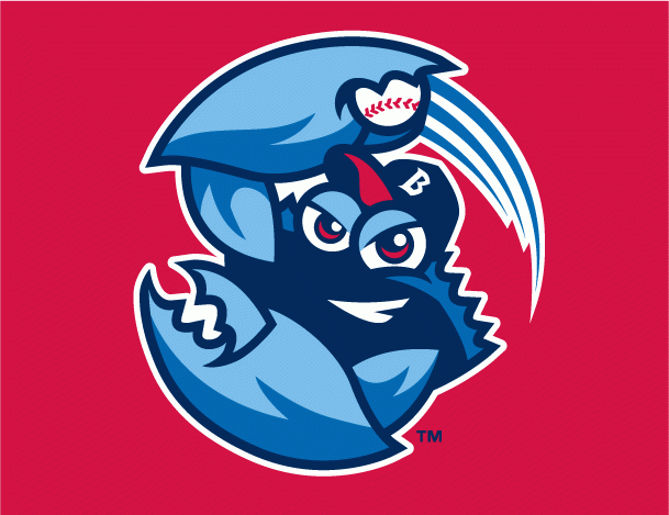 Lakewood BlueClaws 2010-Pres Cap Logo 2 iron on paper